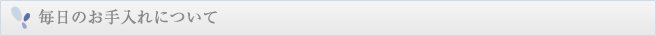 毎日のお手入れについて